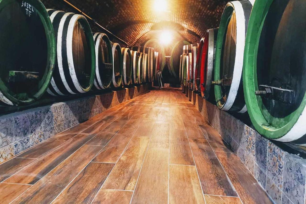 Penzion - Vinarstvi Hanus Blucina Bagian luar foto