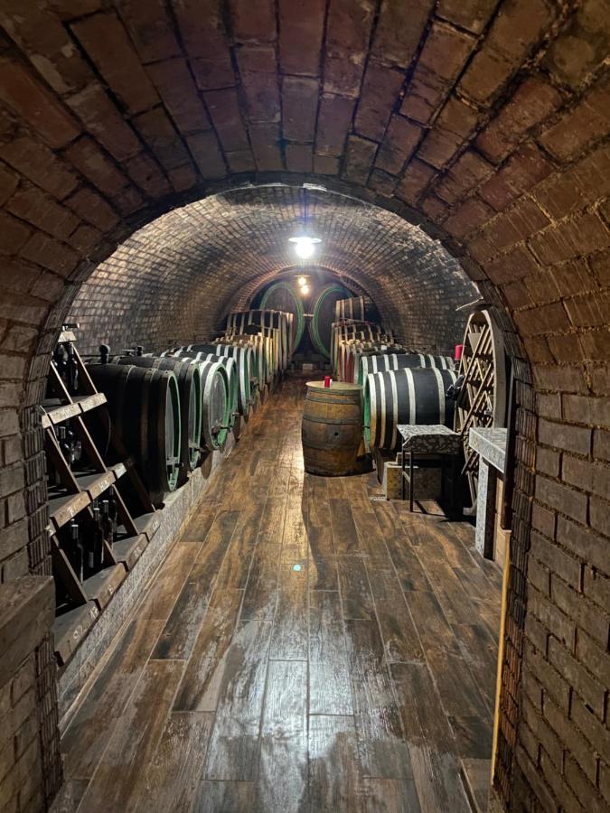 Penzion - Vinarstvi Hanus Blucina Bagian luar foto