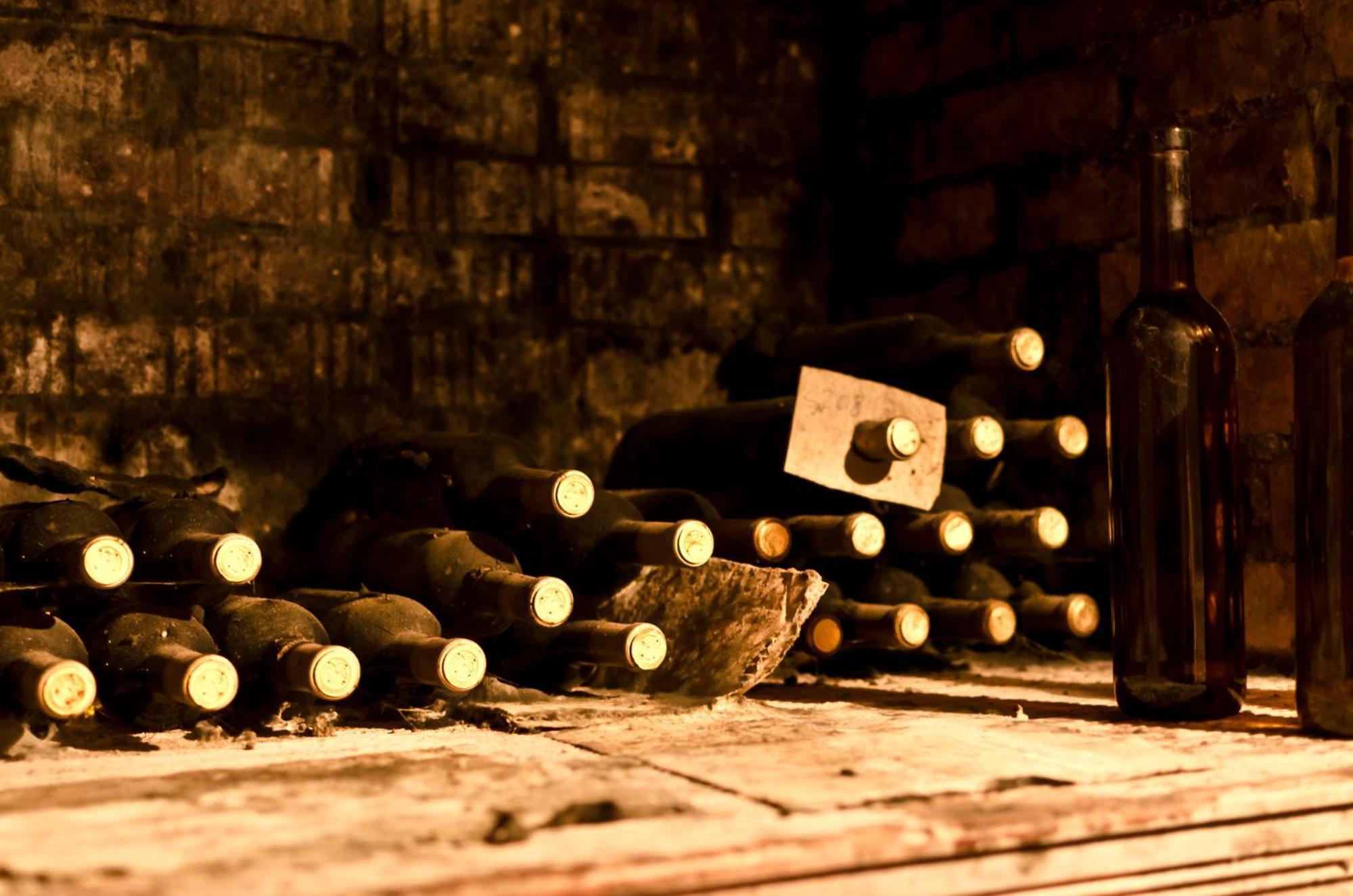 Penzion - Vinarstvi Hanus Blucina Bagian luar foto