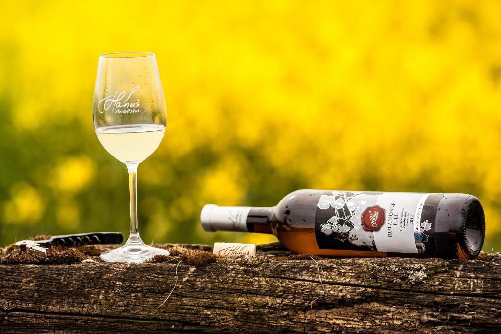 Penzion - Vinarstvi Hanus Blucina Bagian luar foto